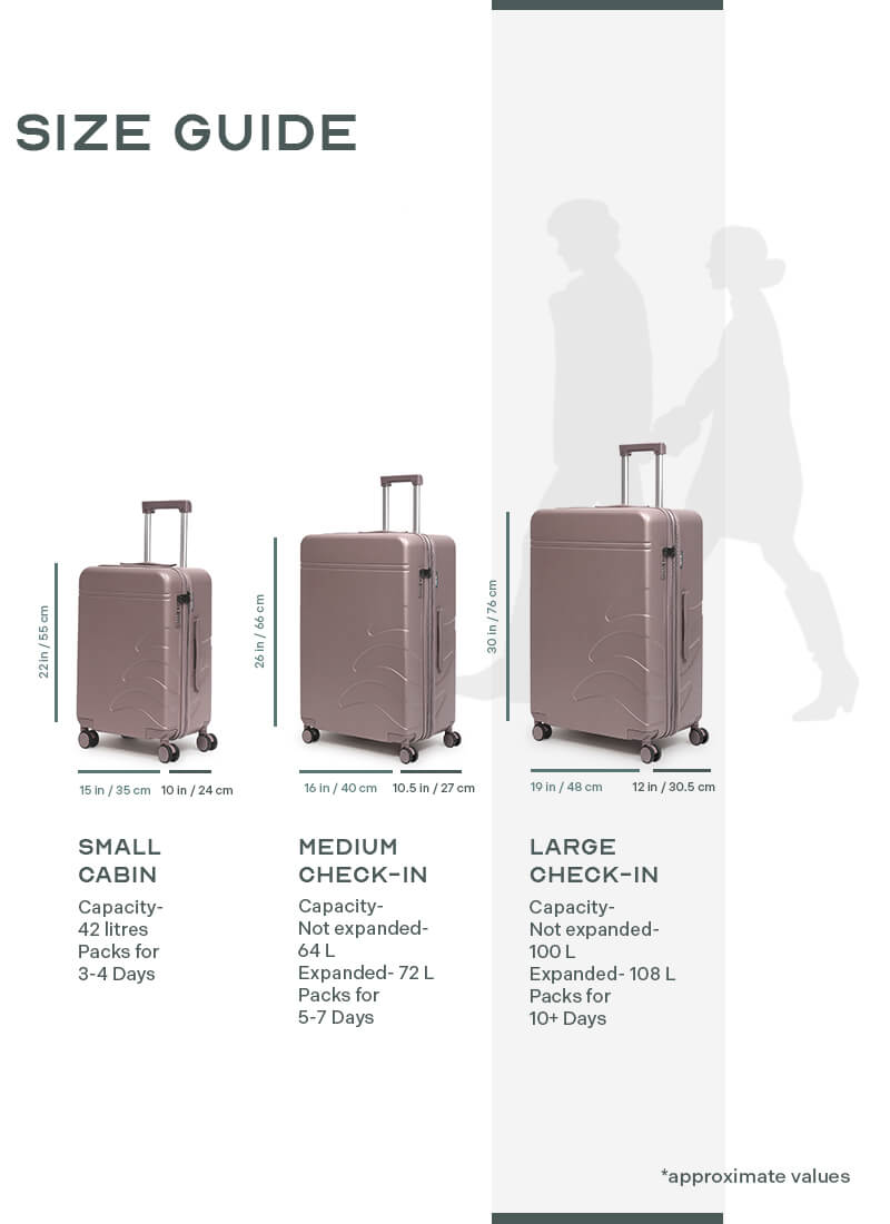 Flowe | Brown | Large Hard Luggage