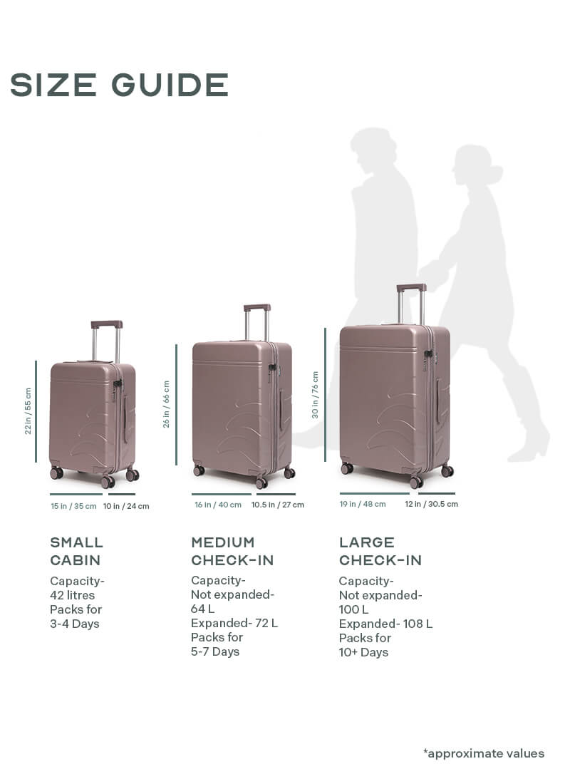 Flowe Combo | Brown | Cabin+Large Hard Luggage