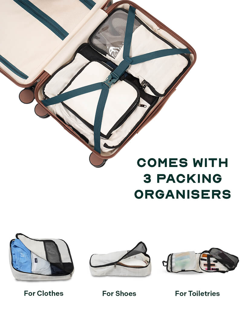 Odyssey Combo | Forest | Cabin+Large Hard Luggage