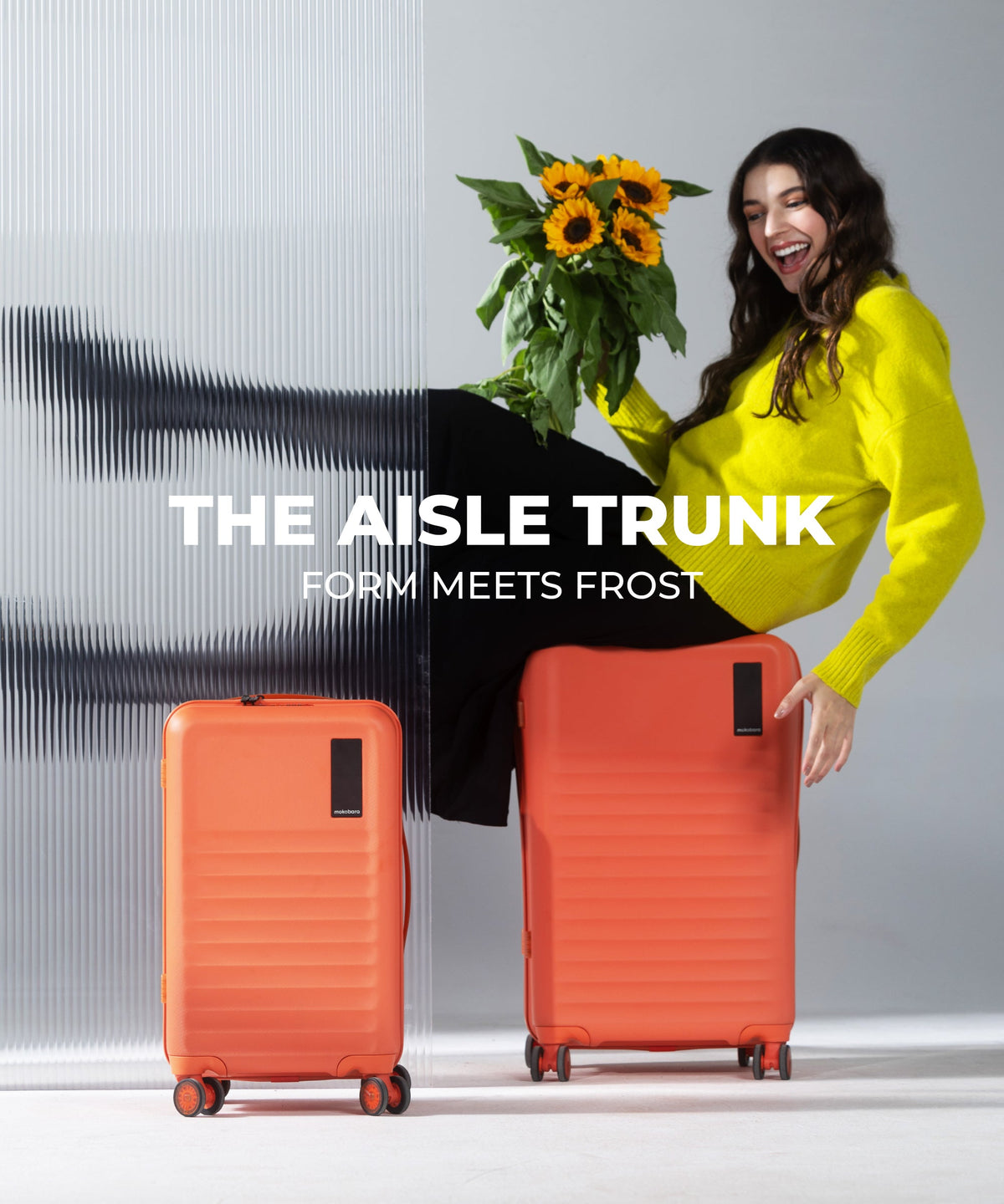 The Aisle Trunk - Set of 2_Orange