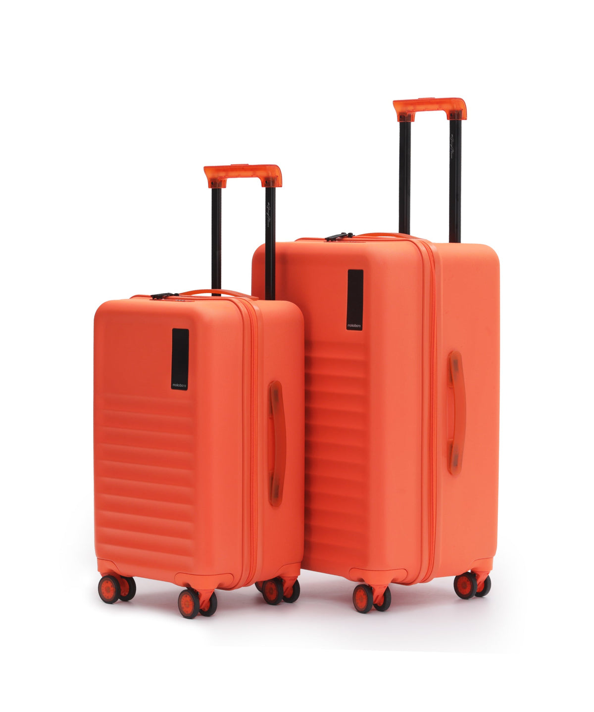 The Aisle Trunk - Set of 2_Orange